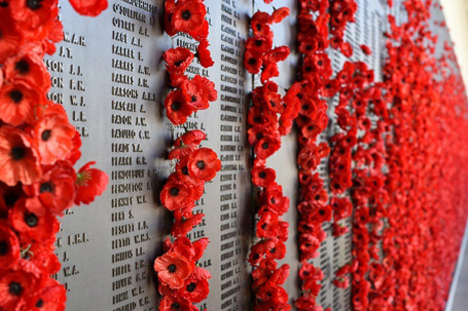 Remembrance Sunday Poppies